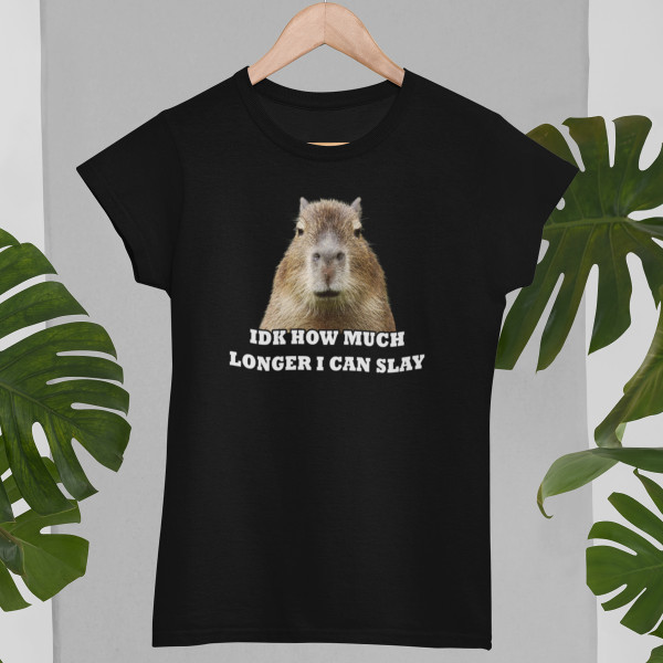 Women's T-shirt "Idk how much longer"