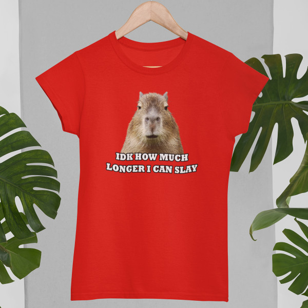 Women's T-shirt "Idk how much longer"