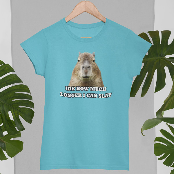 Women's T-shirt "Idk how much longer"