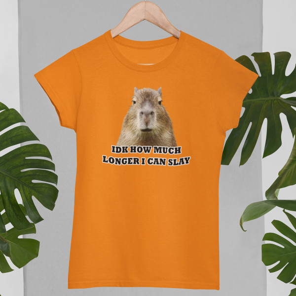 Women's T-shirt "Idk how much longer"