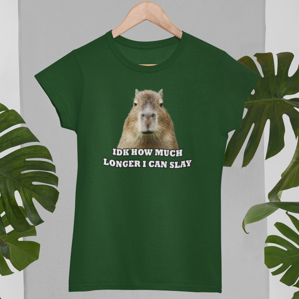 Women's T-shirt "Idk how much longer"