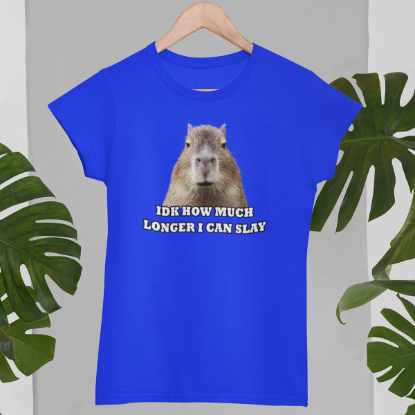 Women's T-shirt "Idk how much longer"