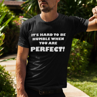 T-shirt "Mr. perfection"