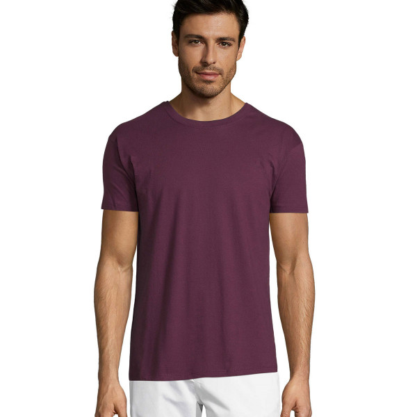 Male shirts without print